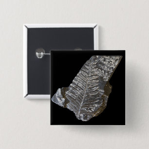 Fossilised Fern Leaf Leaves Nature Photography 15 Cm Square Badge