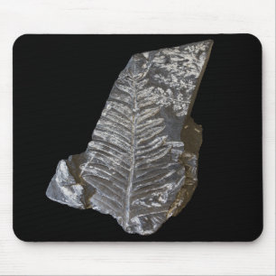 Fossilised Fern Leaves Rocks Nature Photography Mouse Pad