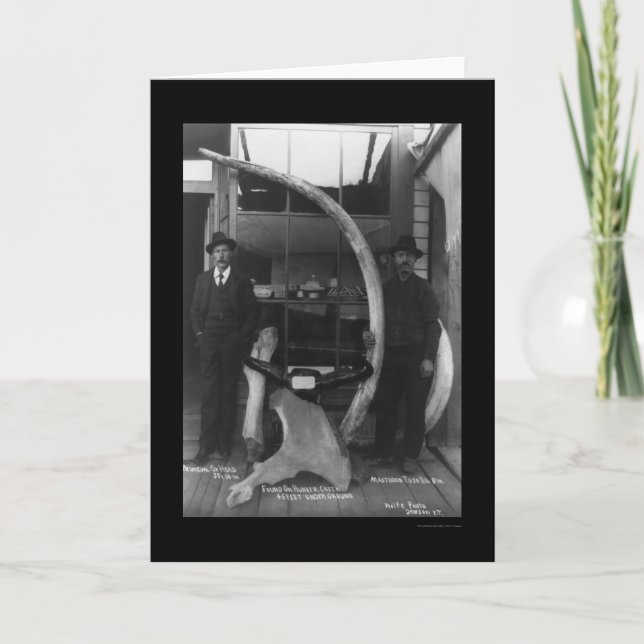 Fossils Found in Yukon Territory 1888 Card (Front)