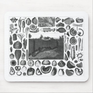 FOSSILS MOUSE PAD