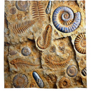 Fossils Shower Curtain