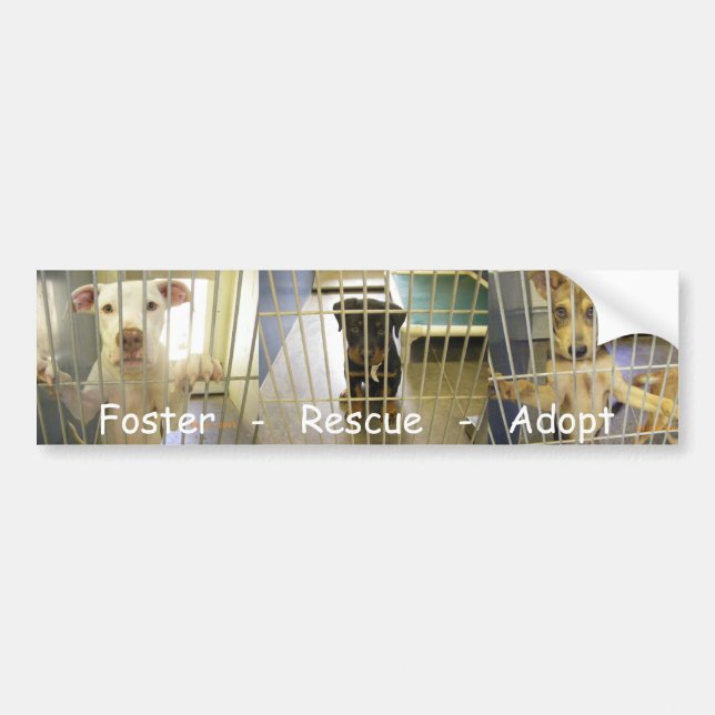Foster - Rescue - Adopt Bumper Sticker1 Sticker (Front)