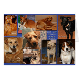 foster success stories2007