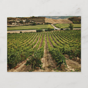 fotografias del Camino de santiago Postcard