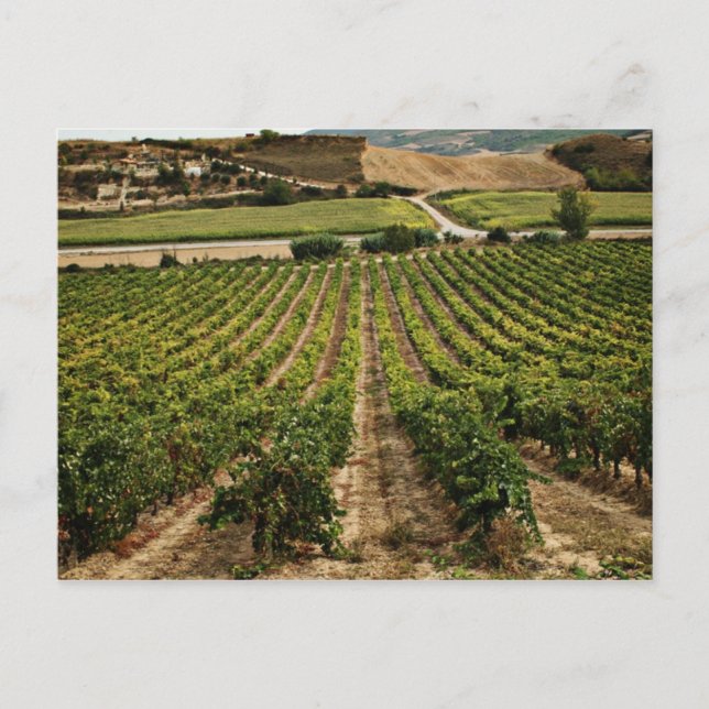 fotografias del Camino de santiago Postcard (Front)