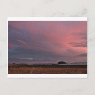 fotografias del Camino de santiago Postcard