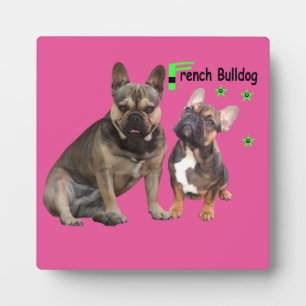 Fotoplatte französische Bulldoggen Plaque