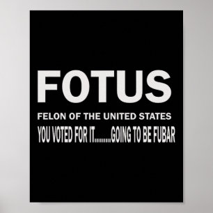 Fotus First Felon Of The Us Fur Will Begin  Poster