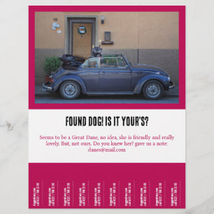 found a furry friend flyer