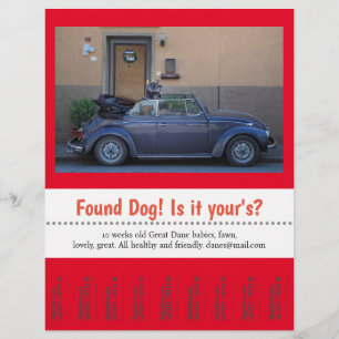 Found Dog Tear Off Flyer
