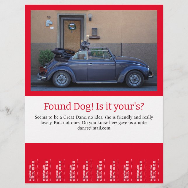 Found Dog Tear Off  Flyer (Front)