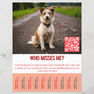 Found Dog Template tap  Flyer