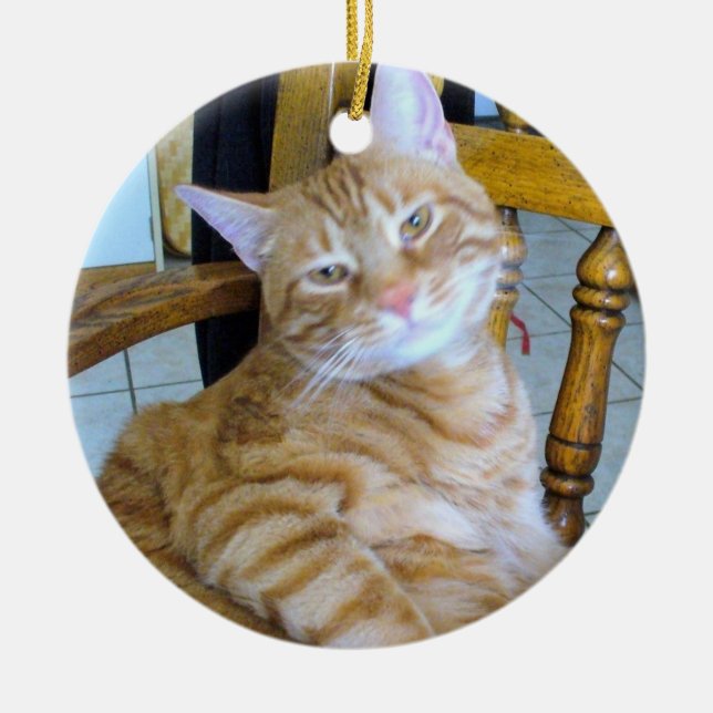 Found Feline Tabby Cat Happy Healthy Spoiled Ceramic Tree Decoration (Front)
