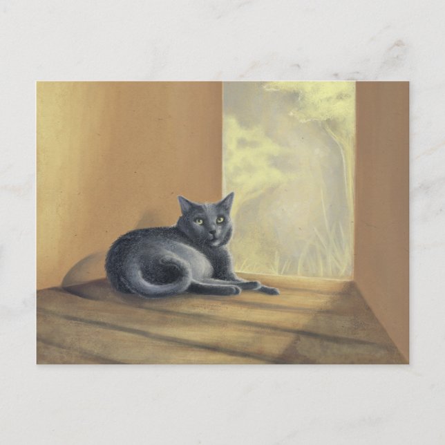 Found In Nature Postcard (Front)