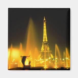 Fountain at the world famous Eiffel Tower Paris Magnet