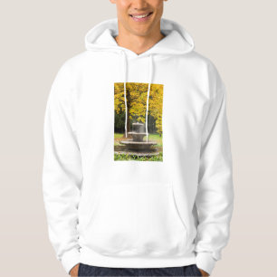 Fountain by a tree in fall, Germany Hoodie