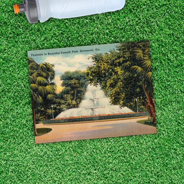 Fountain in Forsyth Park Savannah GA Historic Postcard (Creator Uploaded)