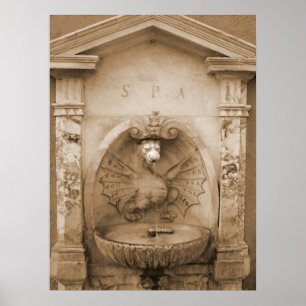 Fountain in Rome Poster