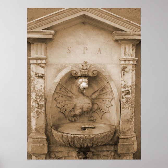 Fountain in Rome Poster (Front)
