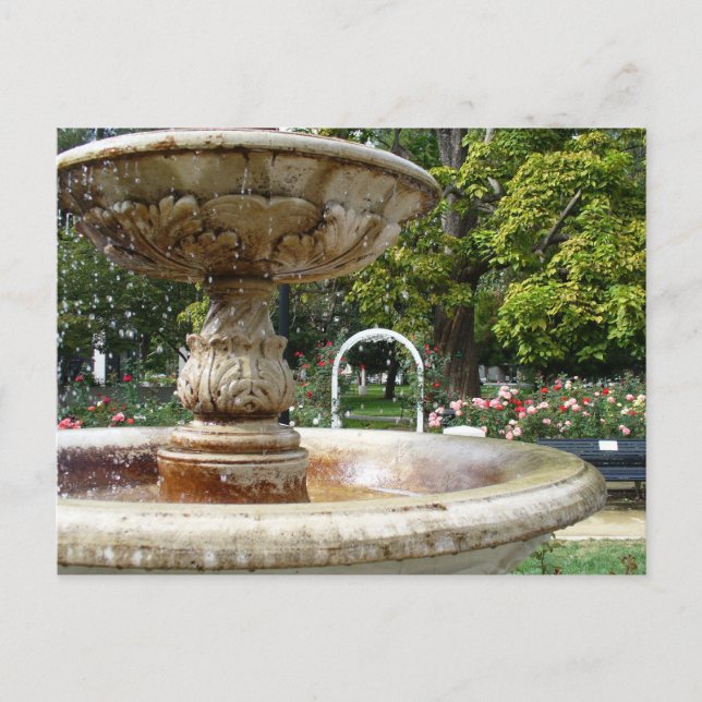 Fountain in the Park Postcard (Front)