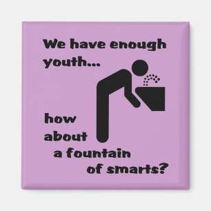 Fountain of Smarts Funny Magnet Humour