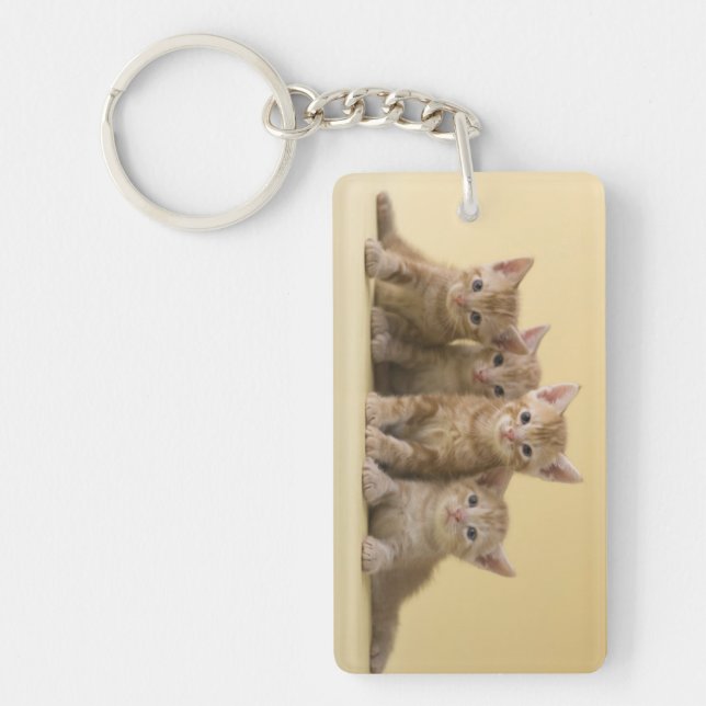 Four American Shorthair Kittens Key Ring (Front)