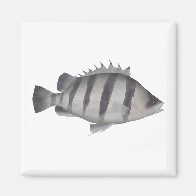 Four-barred Tigerfish Magnet (Front)