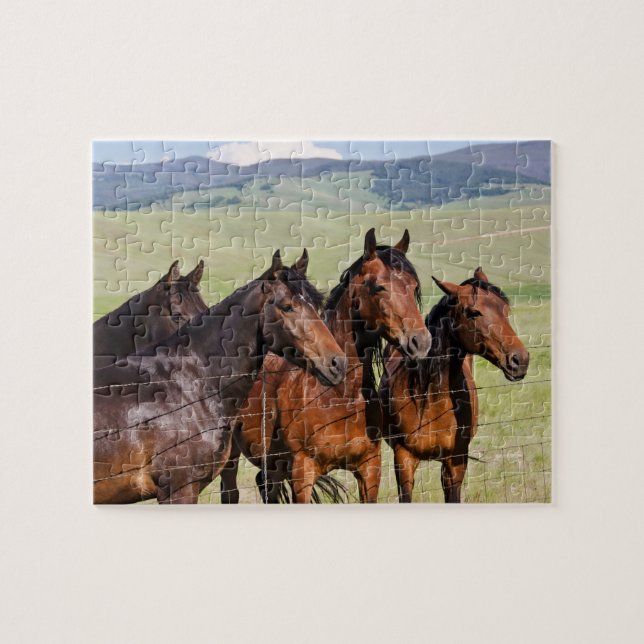 Four Beautiful Horses Jigsaw Puzzle (Horizontal)