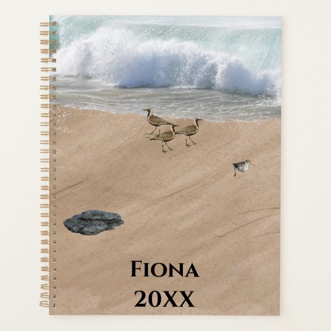Four Birds on a Beach Planner (Front)