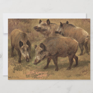 Four Boars in a French Landscape (by Rosa Bonheur) Card