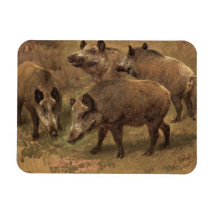 Four Boars in a French Landscape (by Rosa Bonheur) Magnet