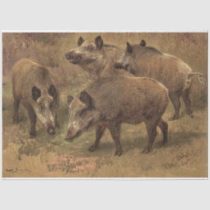 Four Boars in a Grassy Landscape (by Rosa Bonheur) Tissue Paper