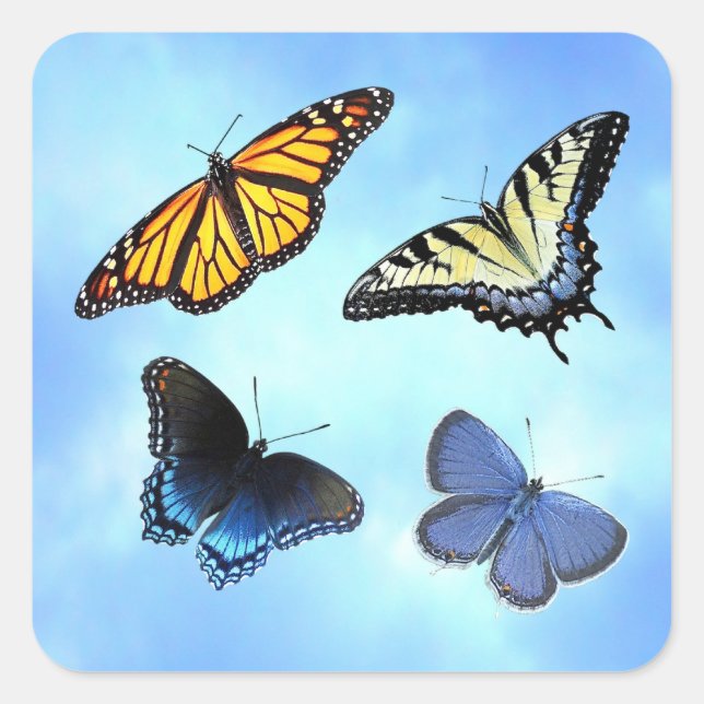 Four Butterflies Sticker (Front)