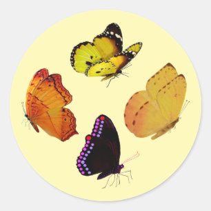 Four Butterflies Stickers