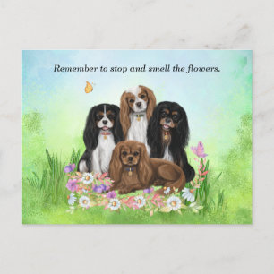 Four Cavalier King Charles Spaniels in Flowers Postcard