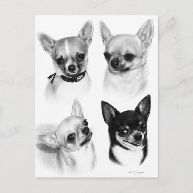 Four Chihuahuas Realistic Hand Painted Artwork Postcard (Front)