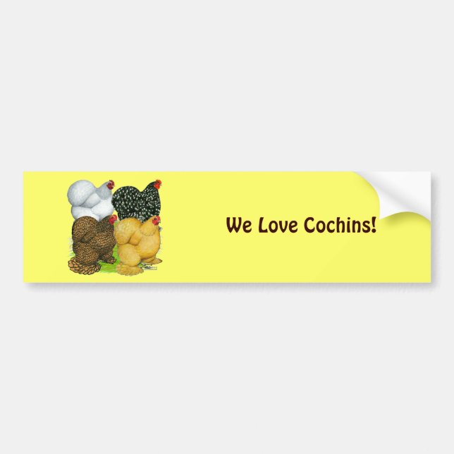 Four Cochin Hens Bumper Sticker (Front)