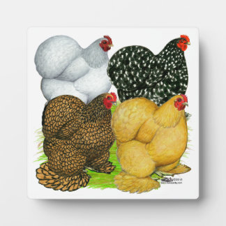 Four Cochin Hens Plaque
