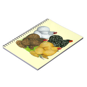 Four Cochin Hens Spiral Notebook