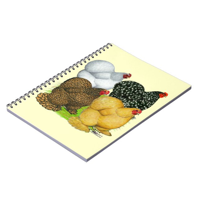 Four Cochin Hens Spiral Notebook (Left Side)