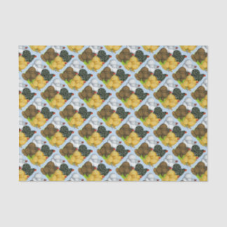 Four Cochin Hens Tissue Paper