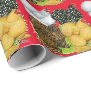 Four Cochin Hens Wrapping Paper