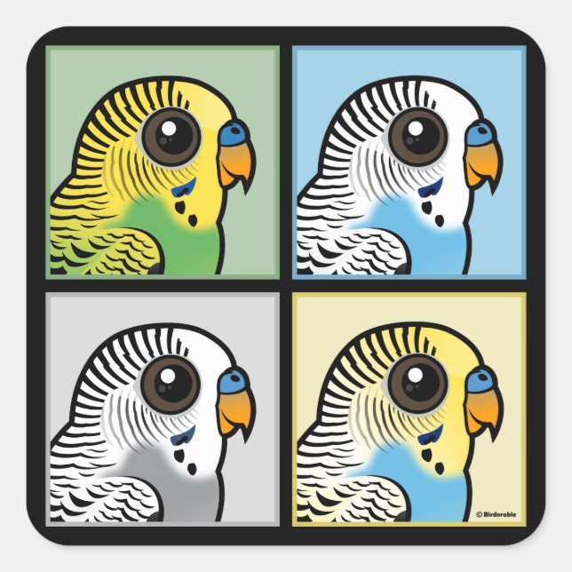 Four Colour Budgies Square Sticker (Front)
