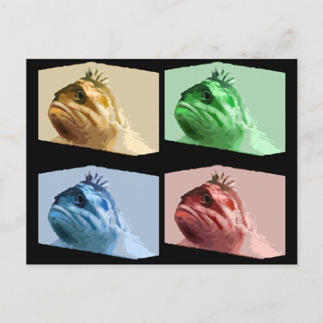 Four Colour Dubious Rockfish Postcard (Front)
