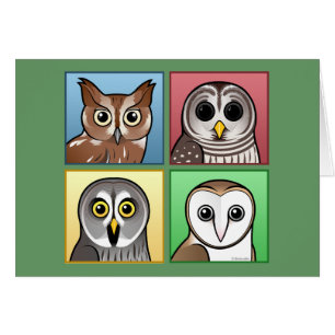 Four Colour Owls (pastel)