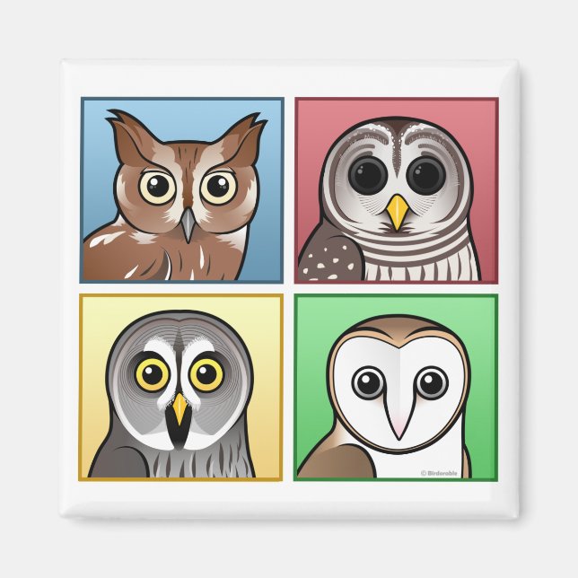 Four Colour Owls (pastel) Magnet (Front)