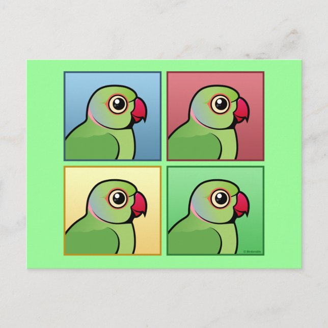 Four Colour Rose-ringed Parakeet Postcard (Front)