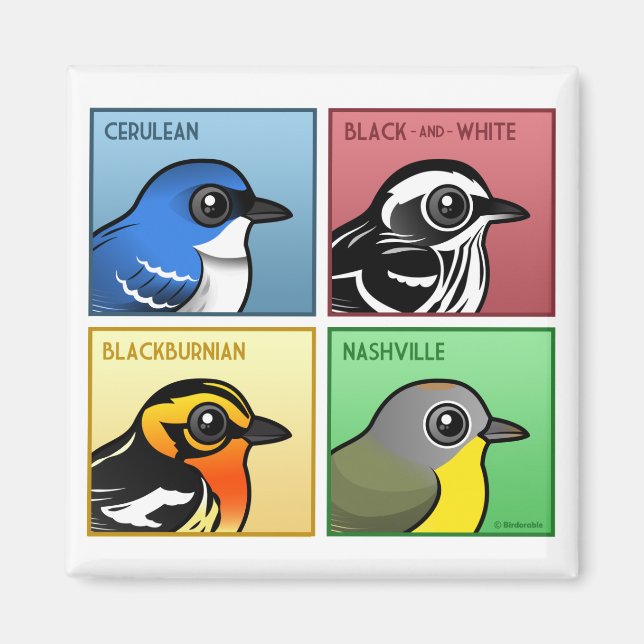 Four Colour Warblers Magnet (Front)