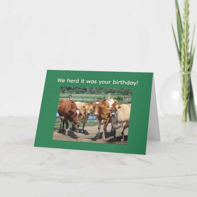 Four Cows Design Greeting Card (Front)