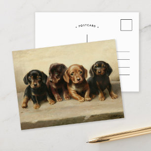 Four Dachshund Puppies   Carl Reichert Postcard
